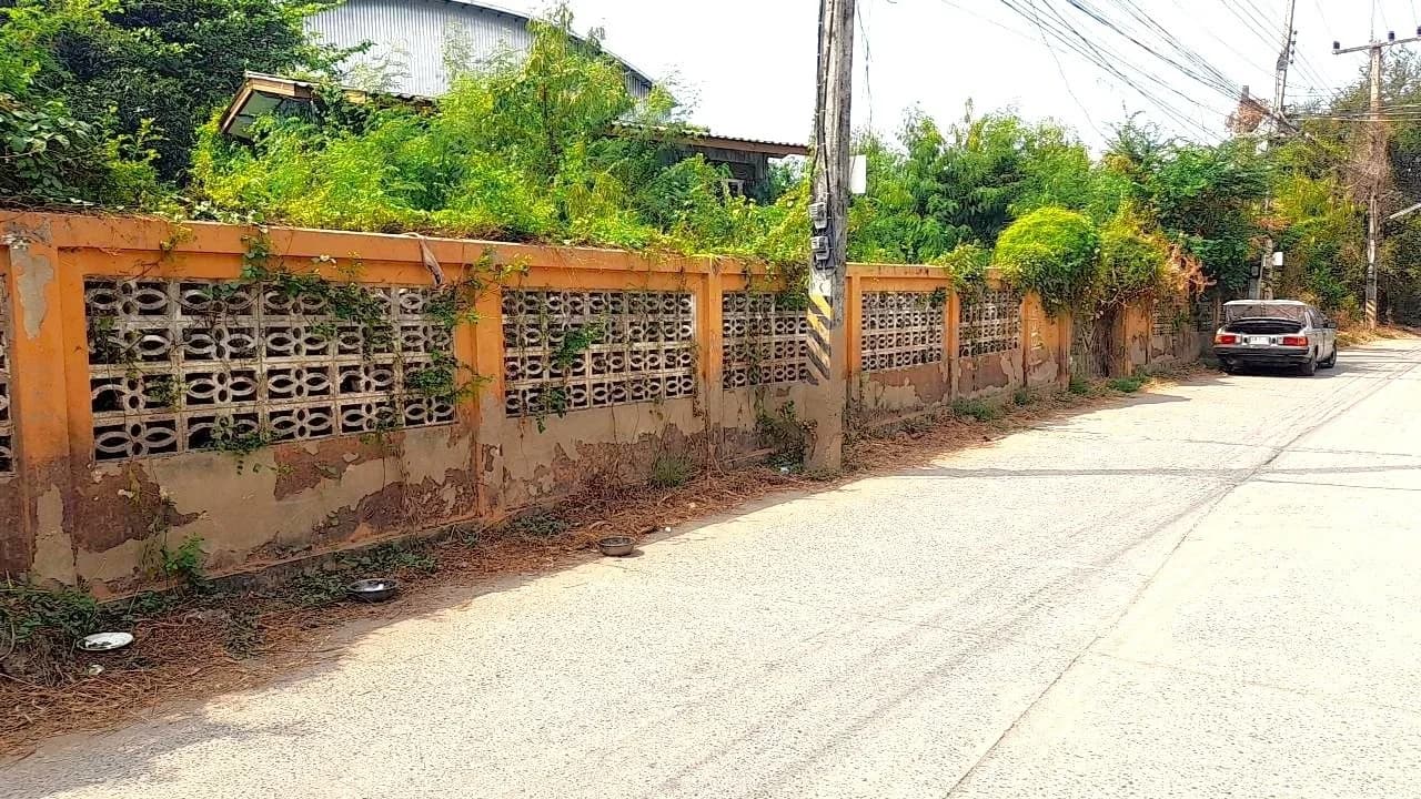 ขาย #ที่ดินพร้อมสิ่งปลูกสร้าง อยู่ในตัวเมือง #สิงห์บุรี 300 ตารางวา ห่างจากแยก #ศาลหลักเมือง เพียง 3 นาที เหมาะสร้างบ้าน หรือซื้อเก็บไว้เก็งกำไร ราคาเพียง 7.5 ลบ.ค่าโอนคนละครึ่ง - image 3