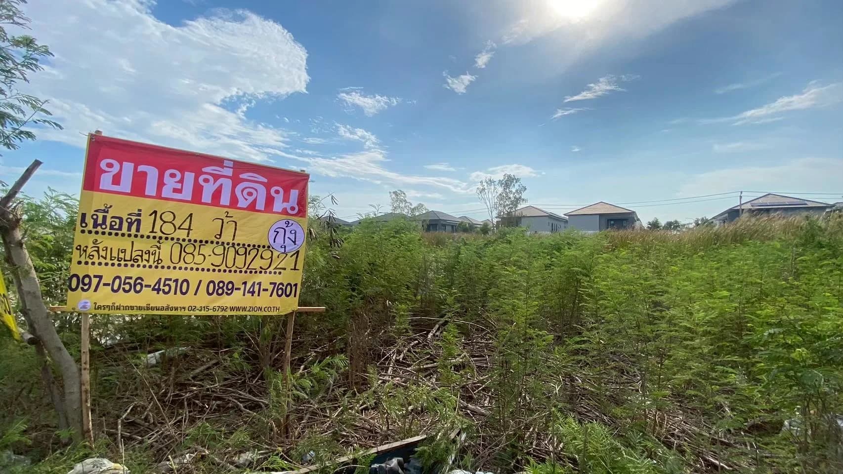 ขายที่ดินบางแก้ว 192 ตร.วา ซอยคอนโดอารียา ราคาถูก ใกล้เมกะบางนา สวยพร้อมพัฒนา! - image 2