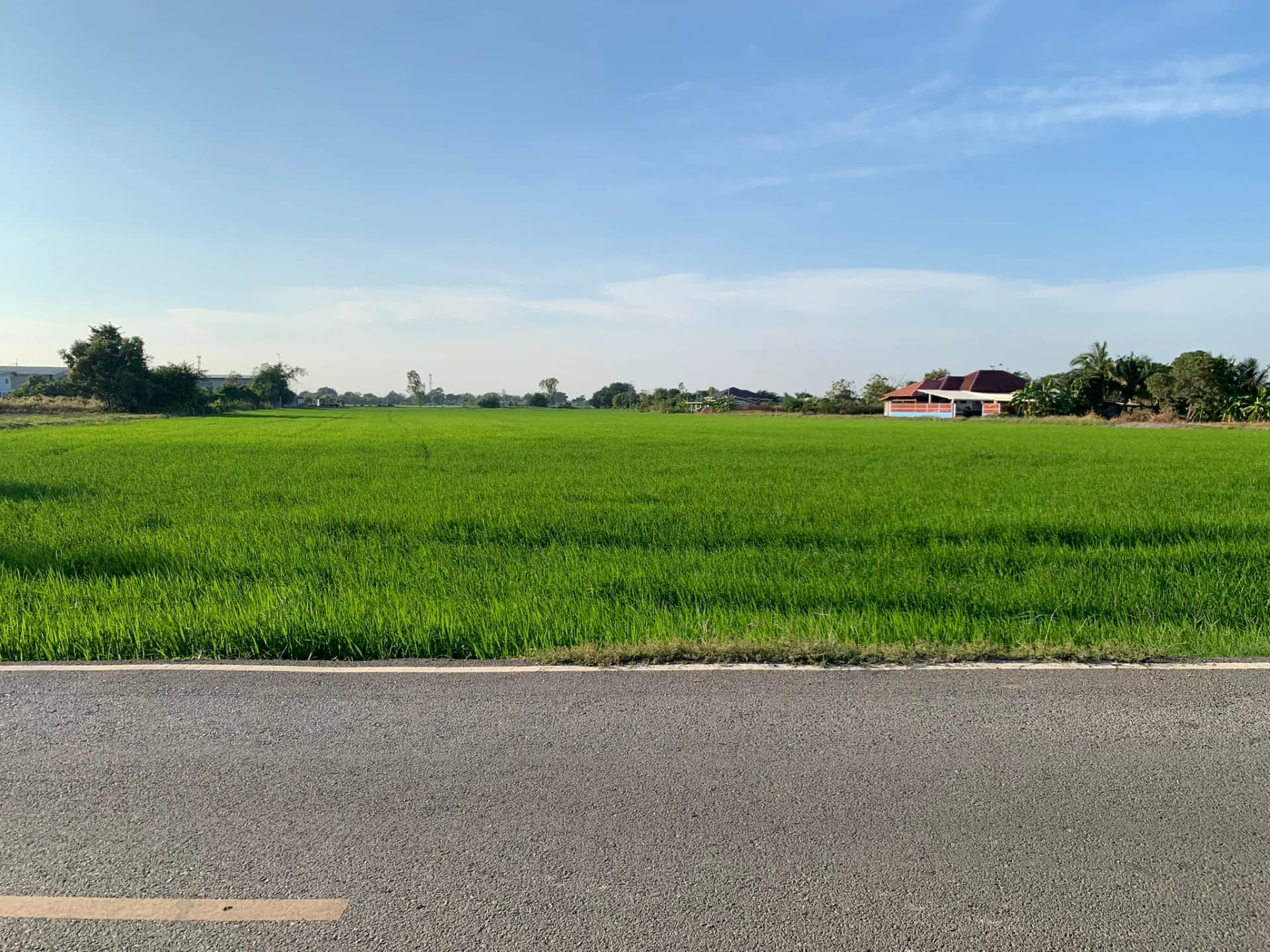 ขายที่ดิน 15-3-88 ไร่ แหล่งชุมชน ใกล้อบต.หนองจอก บางปะกง - image 2