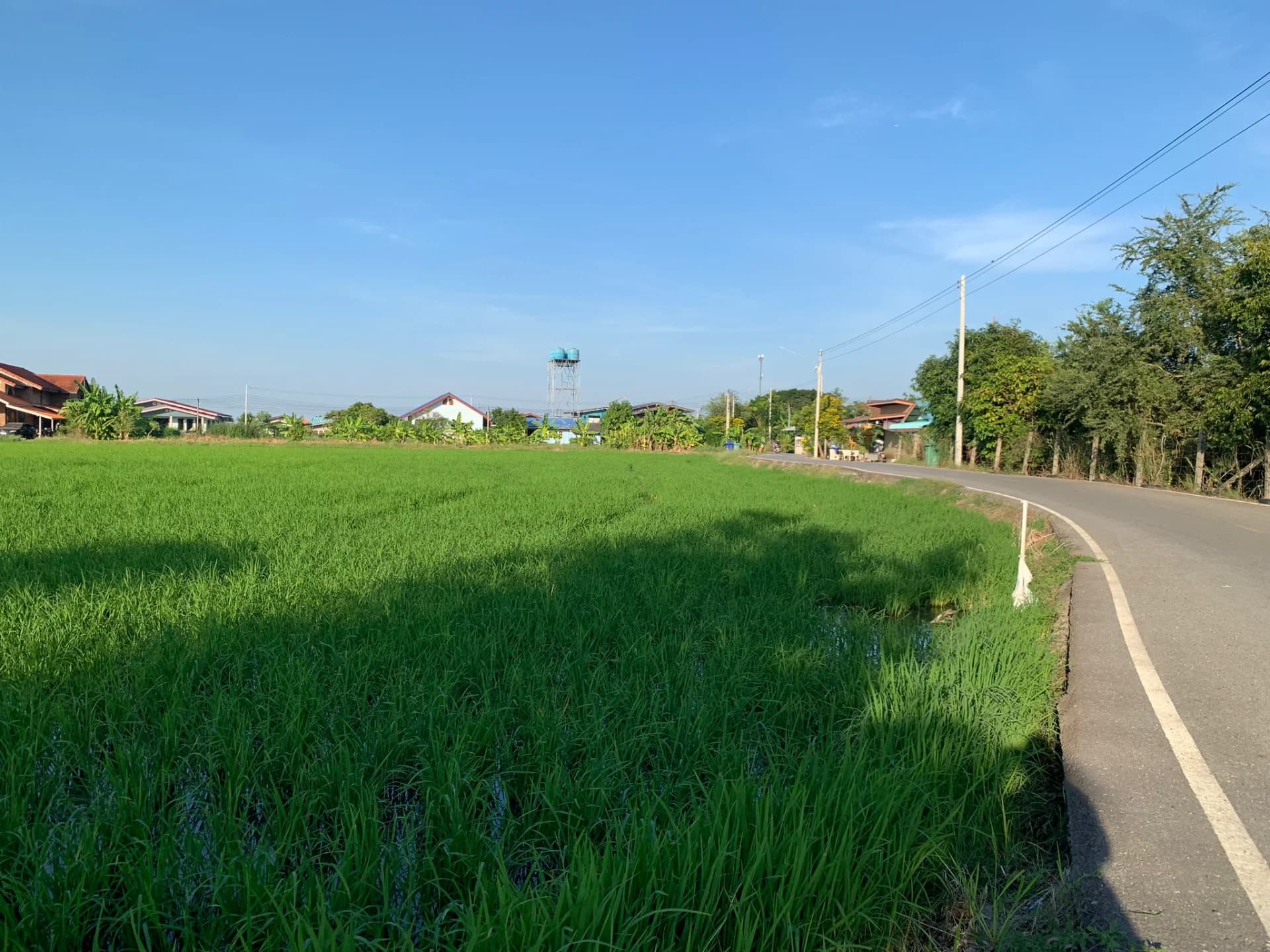 ขายที่ดิน 15-3-88 ไร่ แหล่งชุมชน ใกล้อบต.หนองจอก บางปะกง - image 1