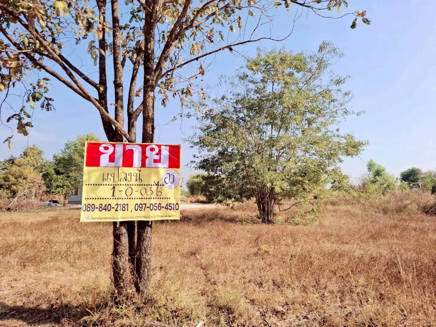 ที่ดินติดถนน 2 ด้าน ทำเลดี ใกล้วัดเทพวังทอง 1 ไร่