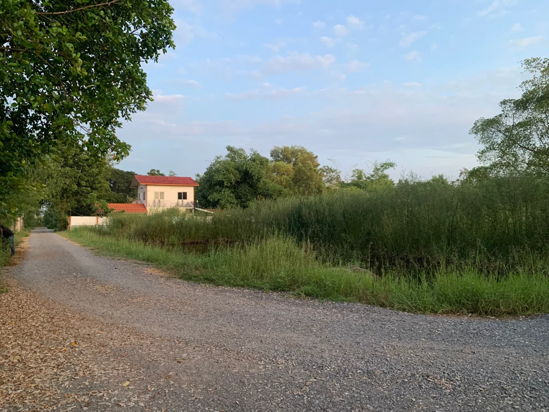 ขายที่ดินคลองหก 473 ตรว. ใกล้ ม.เทคโนโลยีราชมงคลธัญบุรี ติดถนน 3 ด้าน เหมาะสร้างบ้าน - image 3