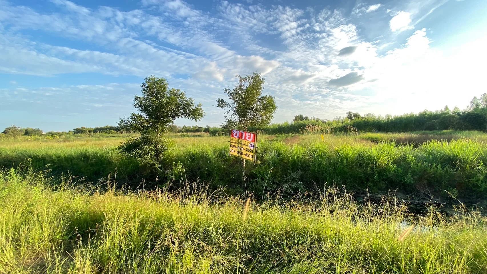 ขายที่ดินคลองหก 3-3-38 ไร่ ใกล้ ม.เทคโนโลยีราชมงคลธัญบุรี รูปแปลงสี่เหลี่ยมสวย เหมาะสร้างบ้านหรือทำสวน