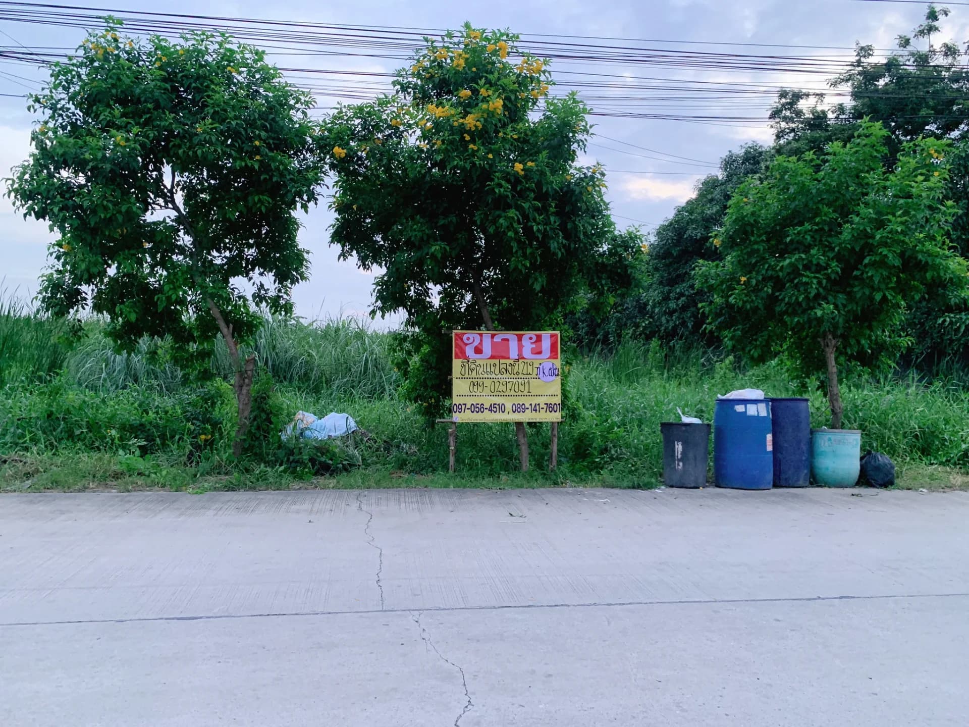 ขายที่ดินสวย 219 ตร.วา สุวินทวงศ์36 เหมาะสร้างบ้าน อพาร์ทเม้นท์ เงียบสงบ บรรยากาศดี - image 1