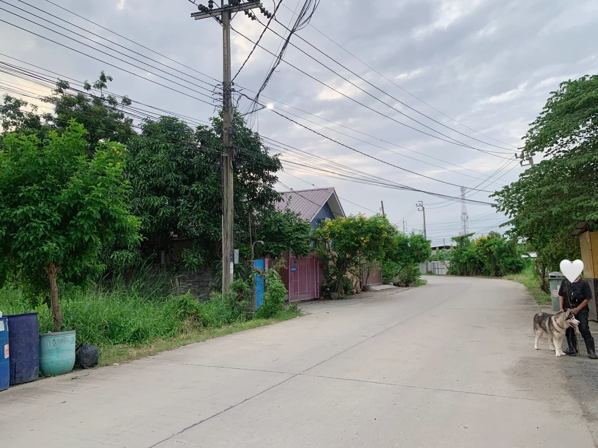 ขายที่ดินสวย 219 ตร.วา สุวินทวงศ์36 เหมาะสร้างบ้าน อพาร์ทเม้นท์ เงียบสงบ บรรยากาศดี - image 3