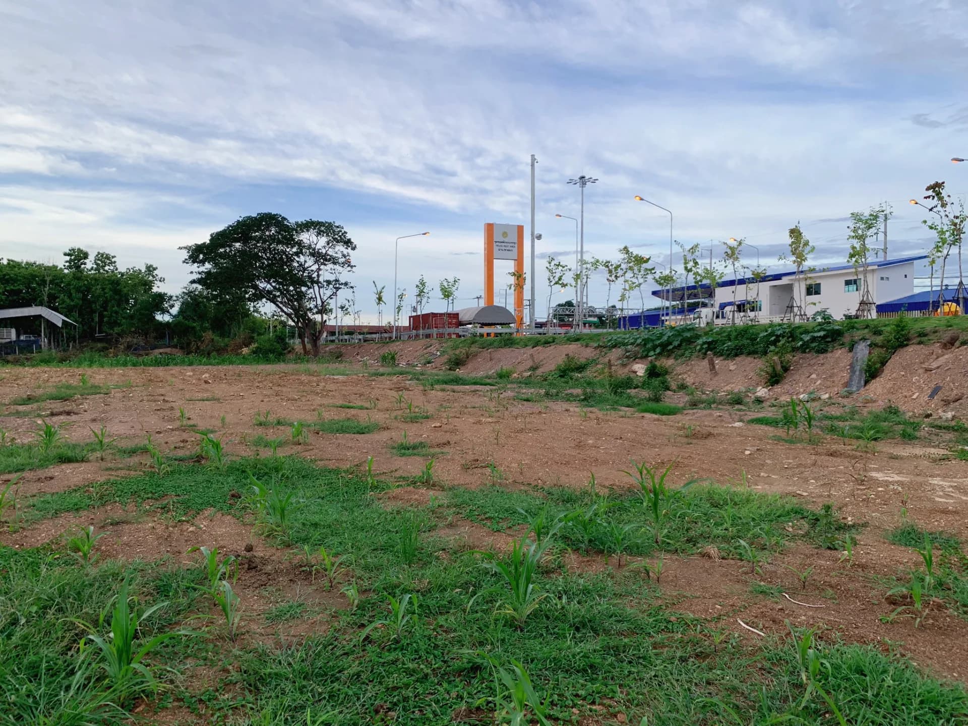 ขายที่ดินสวย บ้านนาผา พร้อมทางเข้าติดถนนใหญ่ยันตรกิจโกศล อยู่หลังจุดจอดพักรถบรรทุกน่าน (แปลงใหญ่+ทางเข้า 2 โฉนด)