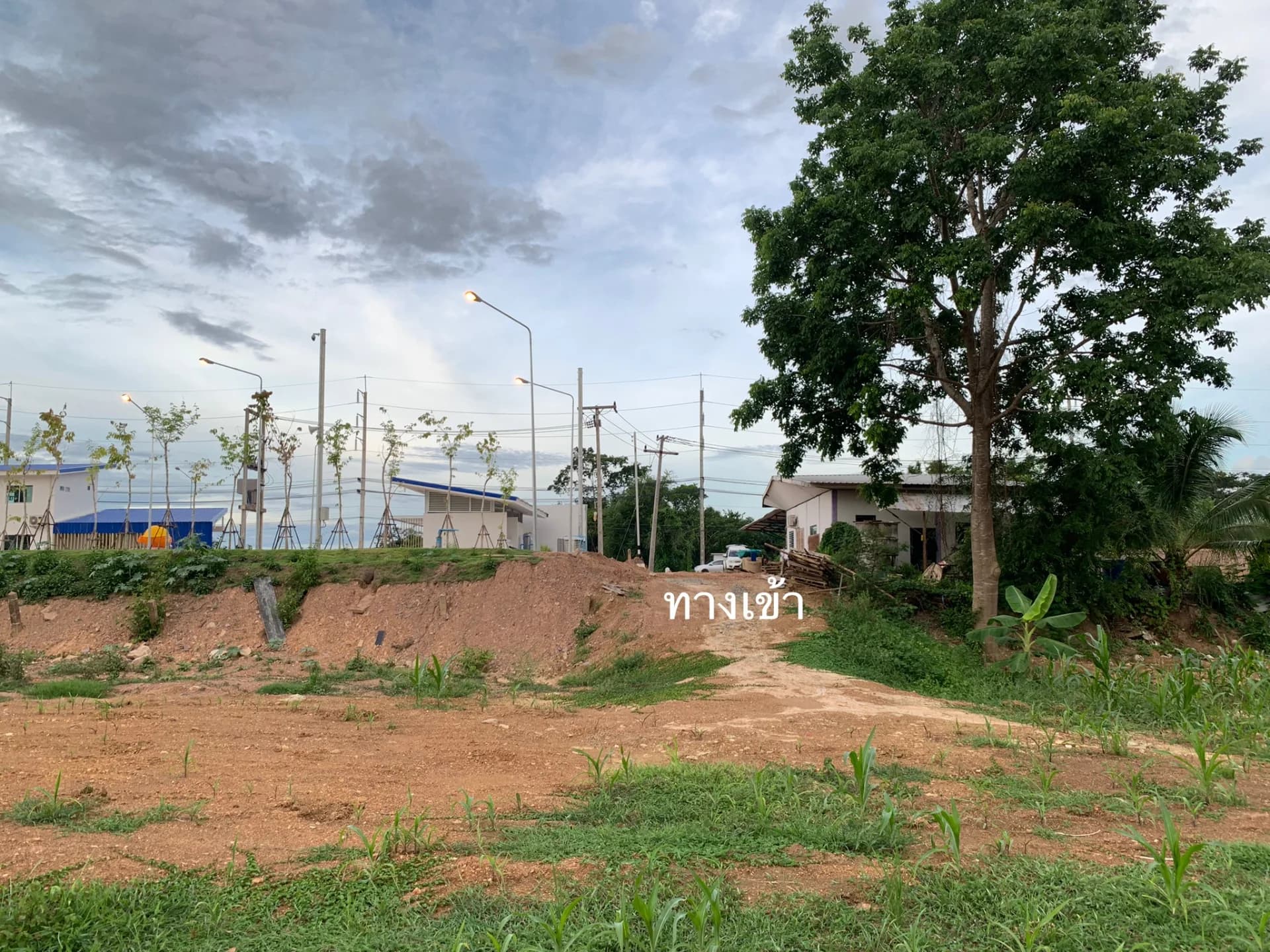 ขายที่ดินสวย บ้านนาผา พร้อมทางเข้าติดถนนใหญ่ยันตรกิจโกศล อยู่หลังจุดจอดพักรถบรรทุกน่าน (แปลงใหญ่+ทางเข้า 2 โฉนด) - image 2