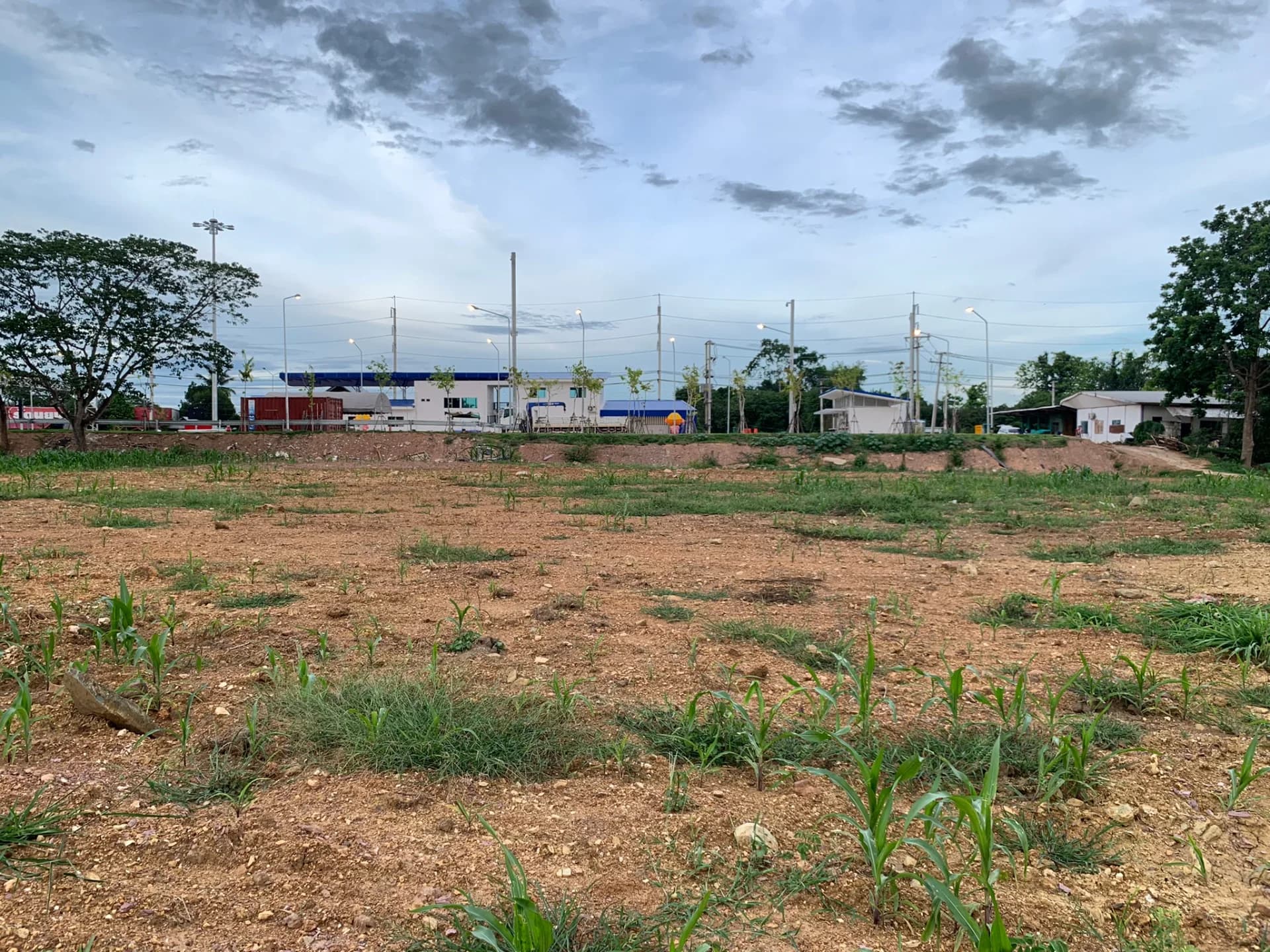 ขายที่ดินสวย บ้านนาผา พร้อมทางเข้าติดถนนใหญ่ยันตรกิจโกศล อยู่หลังจุดจอดพักรถบรรทุกน่าน (แปลงใหญ่+ทางเข้า 2 โฉนด) - image 3