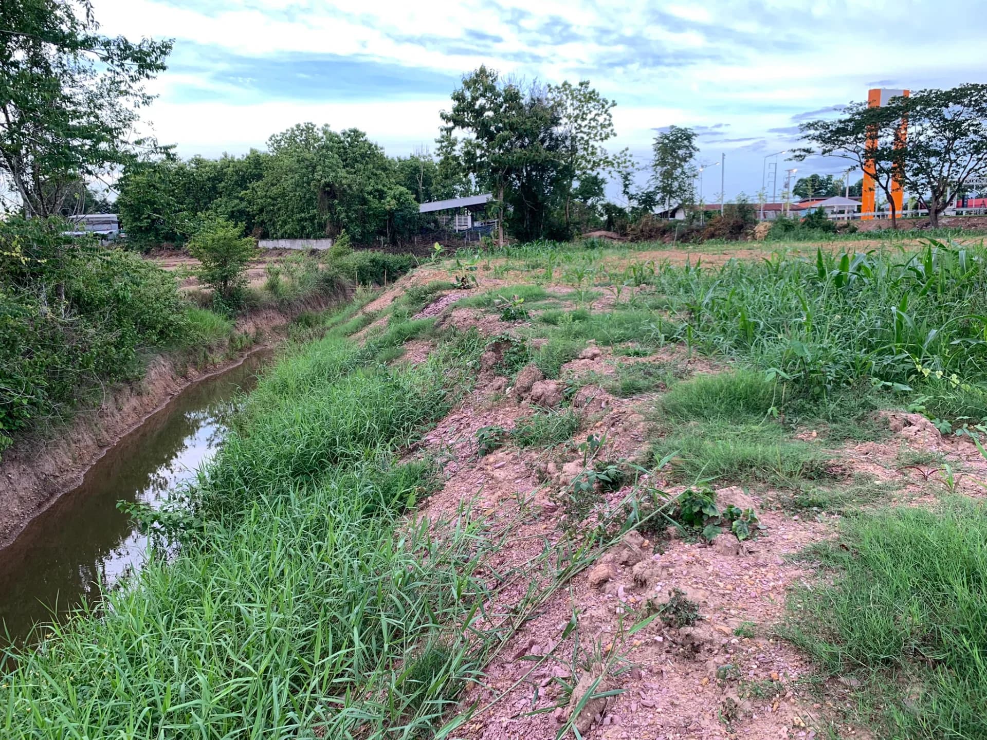 ขายที่ดินสวย บ้านนาผา พร้อมทางเข้าติดถนนใหญ่ยันตรกิจโกศล อยู่หลังจุดจอดพักรถบรรทุกน่าน (แปลงใหญ่+ทางเข้า 2 โฉนด) - image 4