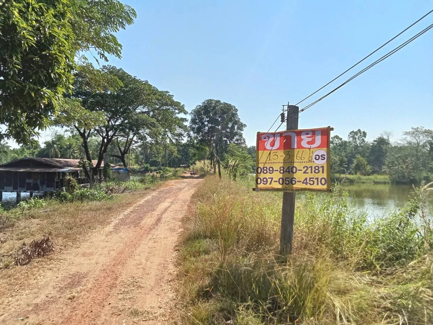 ขายที่ดินพร้อมบ้านสวน ใกล้สถานที่ท่องเที่ยวแพหนองกวก อ.เมือง จ.หนองคาย