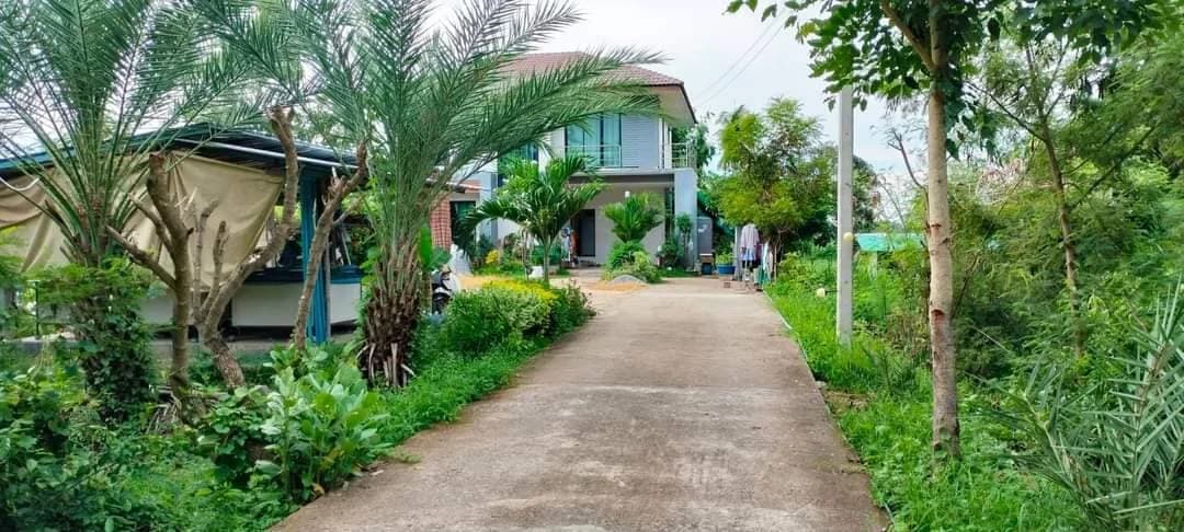 ZNK023 บ้านเดี่ยว บนที่ดิน 3 ไร่ 70 ตร.ว. (ใกล้วัดแหลมสมอ) ต.เขาดินใต้ อ.เก้าเลี้ยว จ.นครสวรรค์
