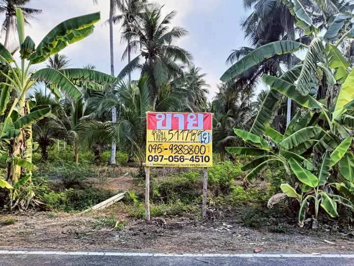 ZSK038 ขายที่ดินสวนมะพร้าว 5-1-17 ไร่ ใกล้ตลาดน้ำอัมพวา บางนางลี่ สมุทรสงคราม