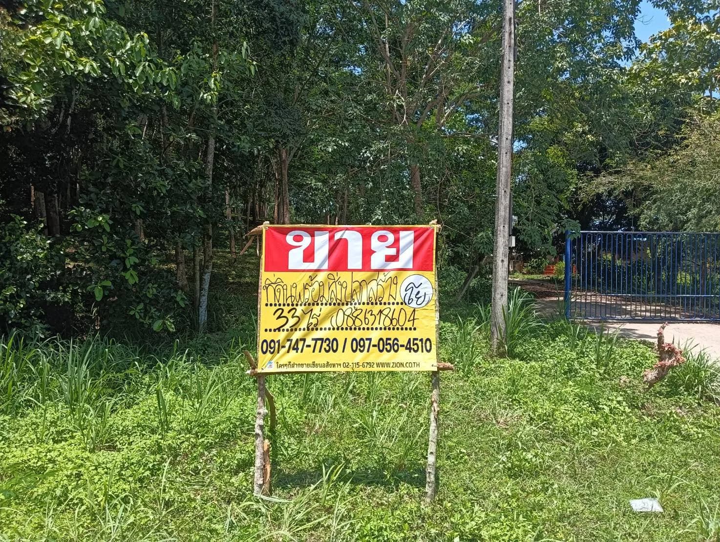 ZSK045 ขายที่ดินสวนยาง 33 ไร่ ชัยเกษม บางสะพาน ประจวบคิรีขันธ์ ใกล้หาดบ้านกรูด เส้นถนนทะลุถนนเพชรเกษมได้